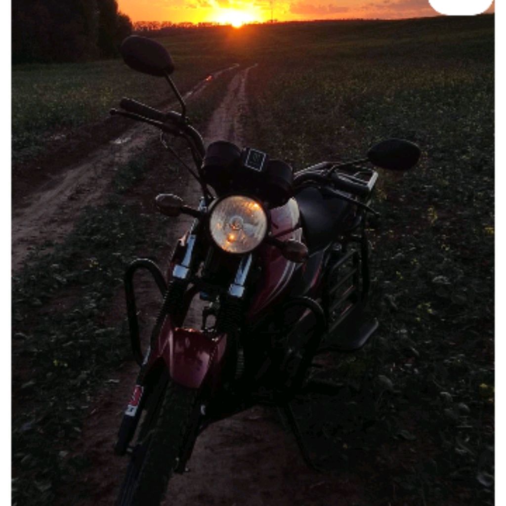 Иконка канала $~MONSTER~$