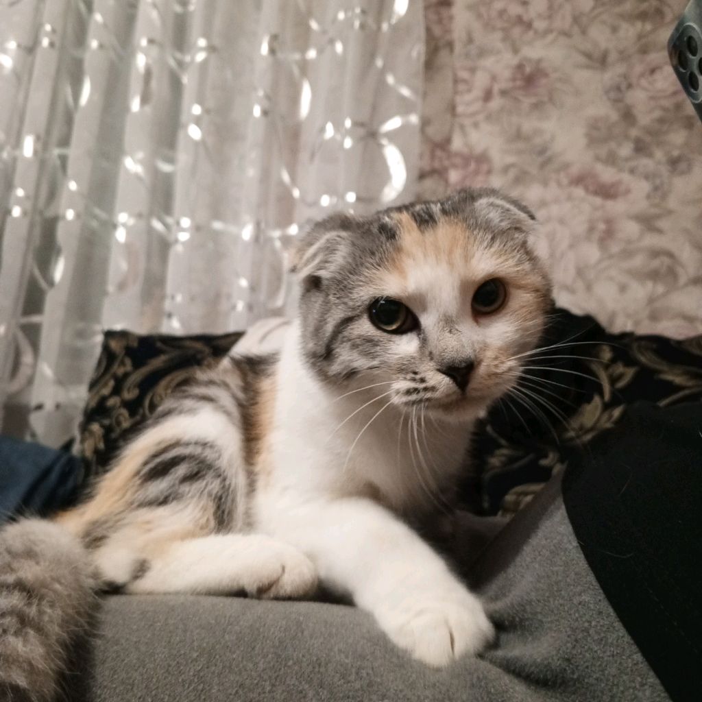 Иконка канала Полина