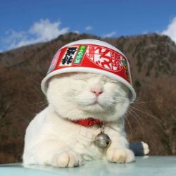 Иконка канала TomaZe