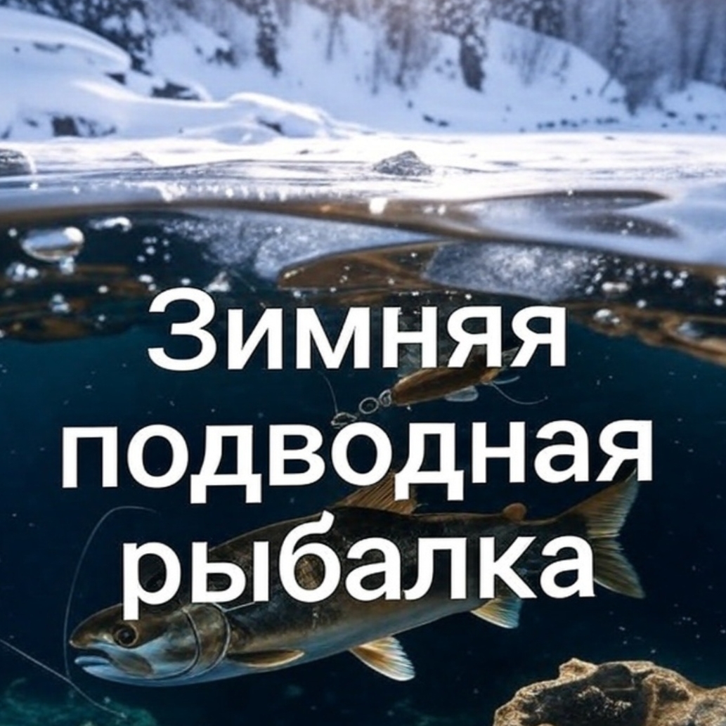 Иконка канала Зимняя подводная рыбалка