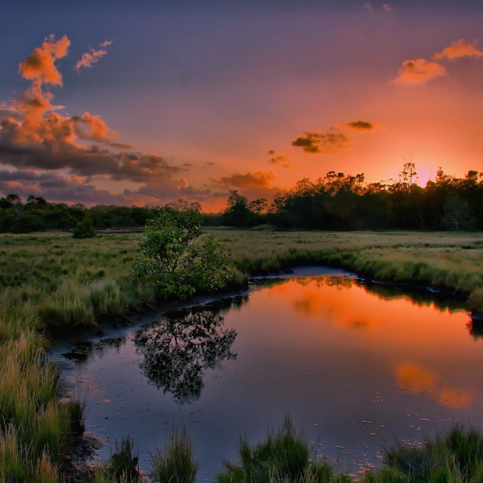 Иконка канала просто чел