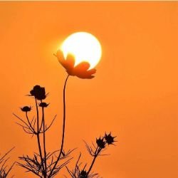 Иконка канала Мой мир