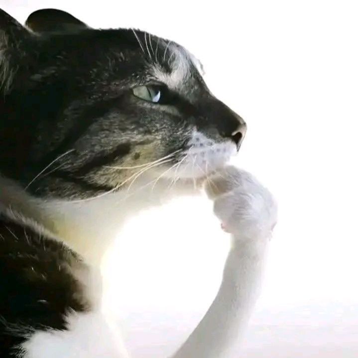 Иконка канала Kumihho