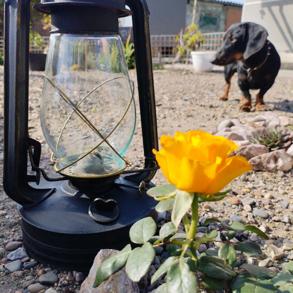 Иконка канала Рай своими руками! канал о жизни в частном доме