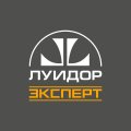 Иконка канала Луидор-Эксперт