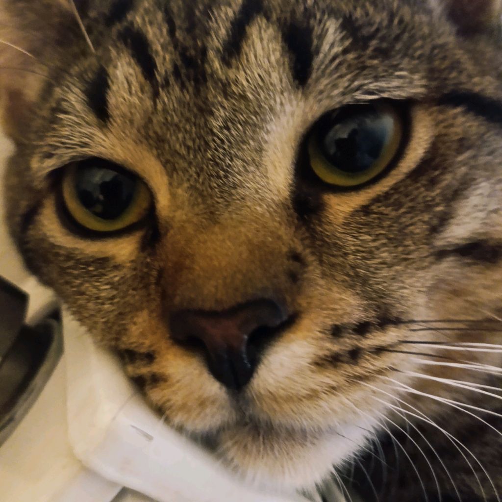 Иконка канала ОКАК