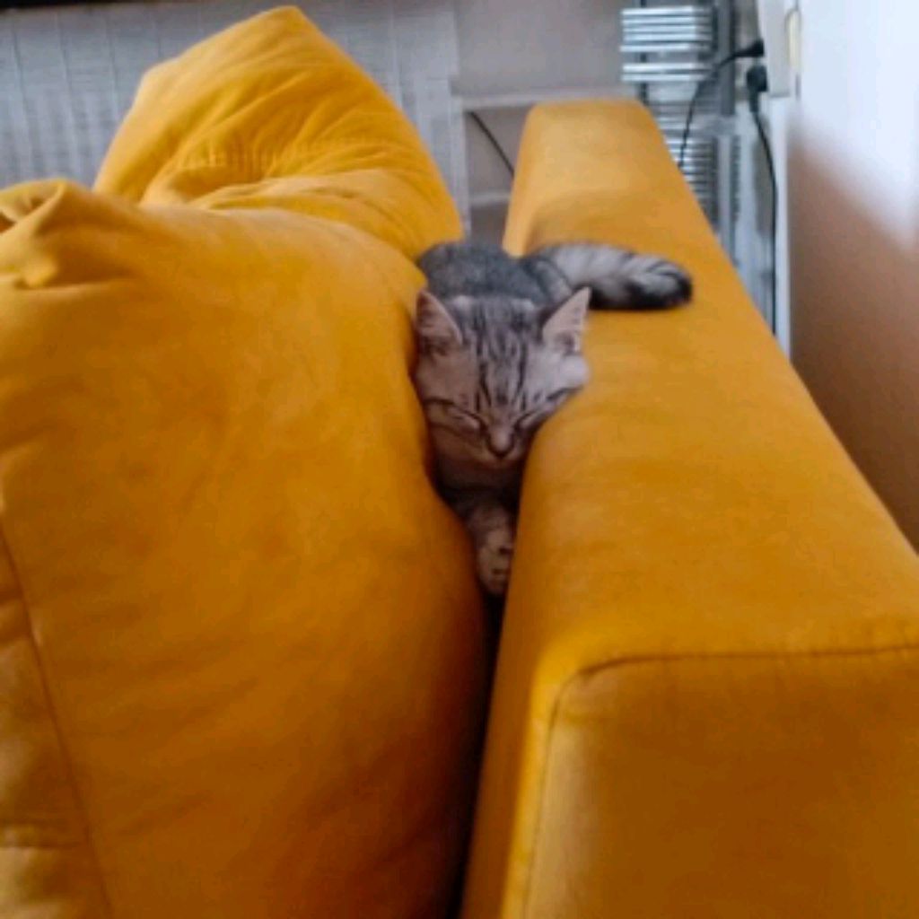 Иконка канала Саня Б