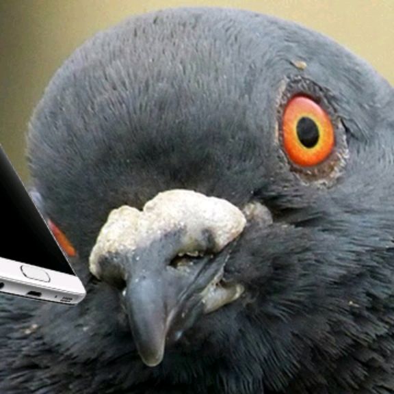 Иконка канала Demon 3401