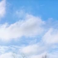 Иконка канала Мойша Либерман