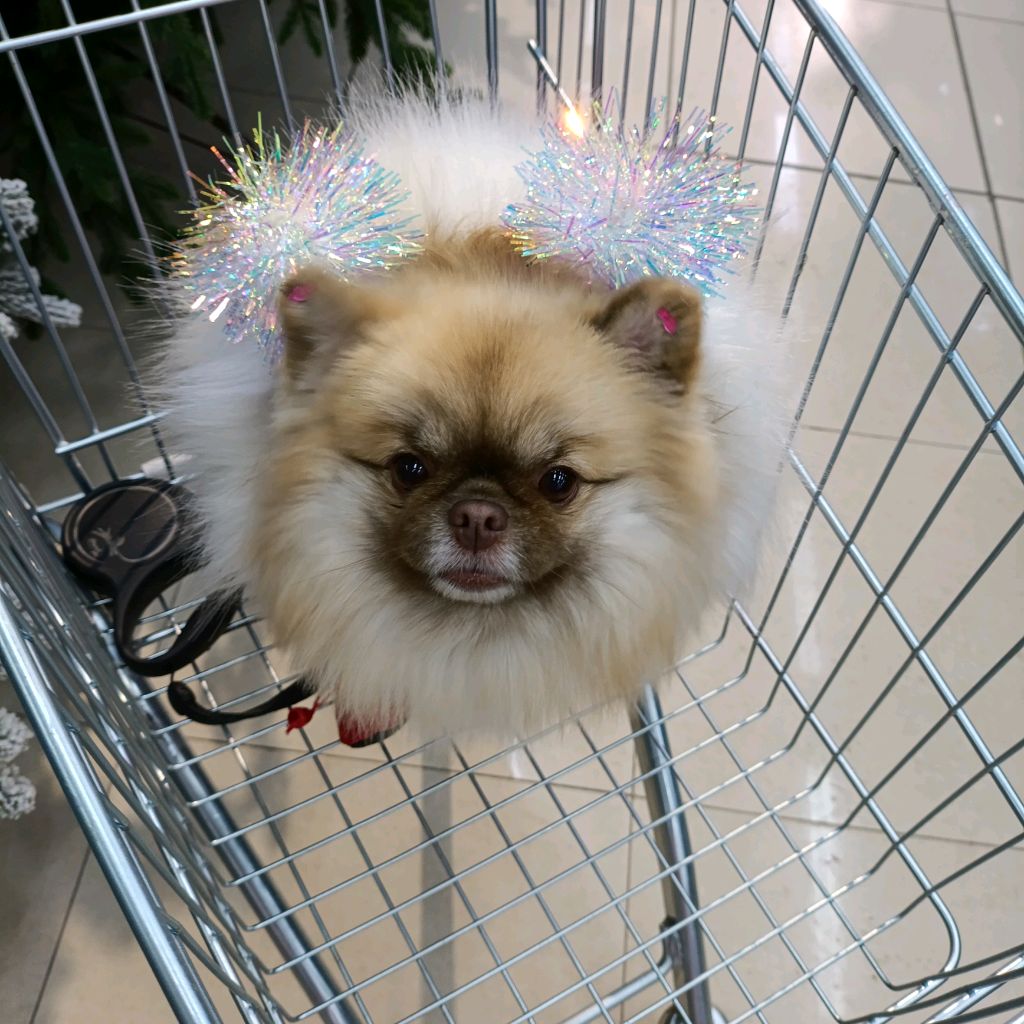 Иконка канала Гламурная Красотка Мила