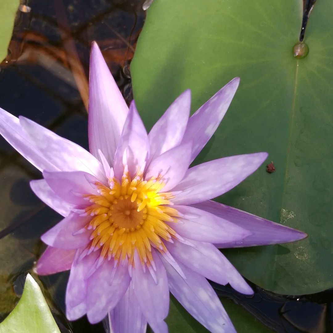 Иконка канала Лера"Лера"