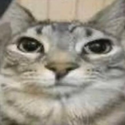 Иконка канала asytkaao