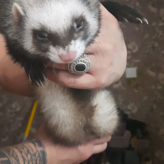 Иконка канала Д