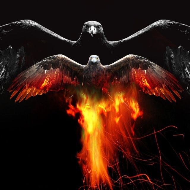 Иконка канала Fenix