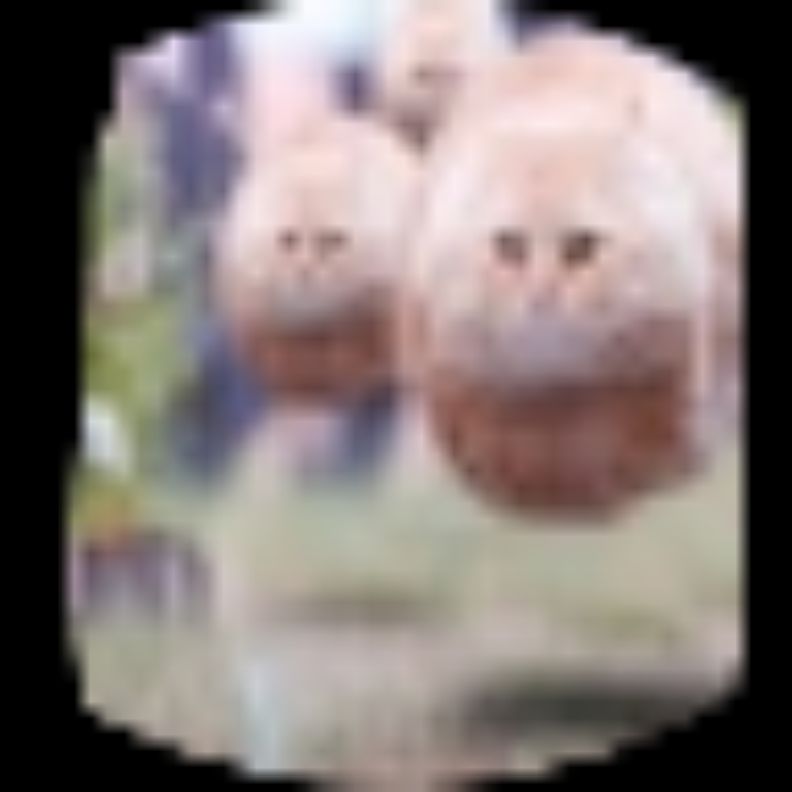 Иконка канала Елисей=[русский Оригинал