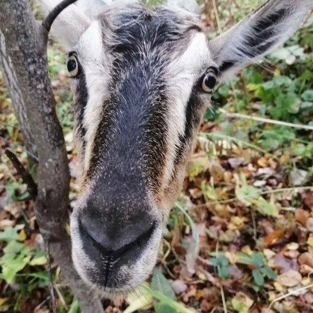 Иконка канала Удачный фермер