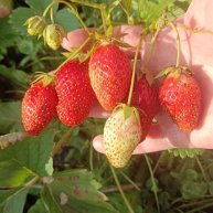 Иконка канала Что посеешь, то пожнёшь