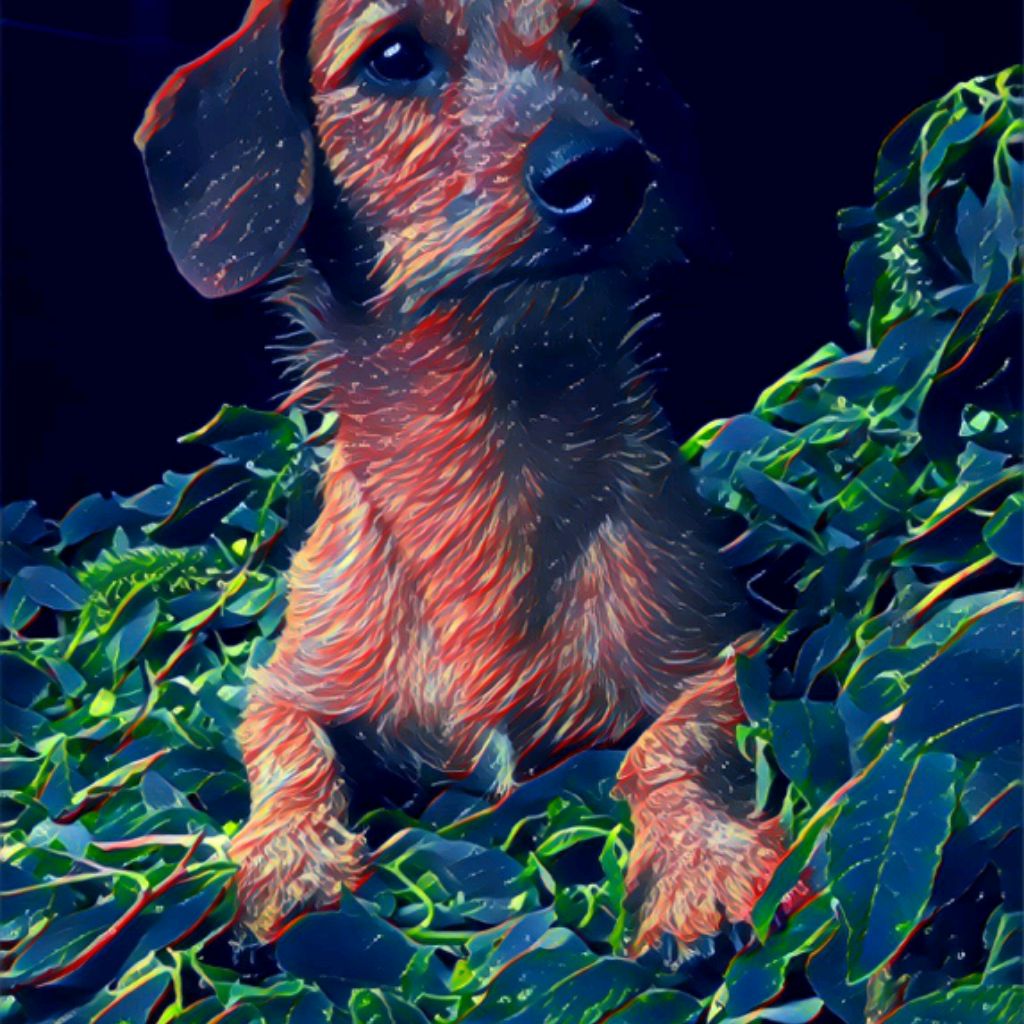 Иконка канала Прош и Компания.