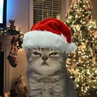 Иконка канала Jentelmen RBX Empire