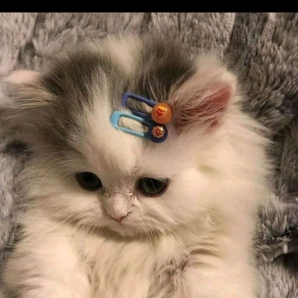 Иконка канала miss_liana🍃