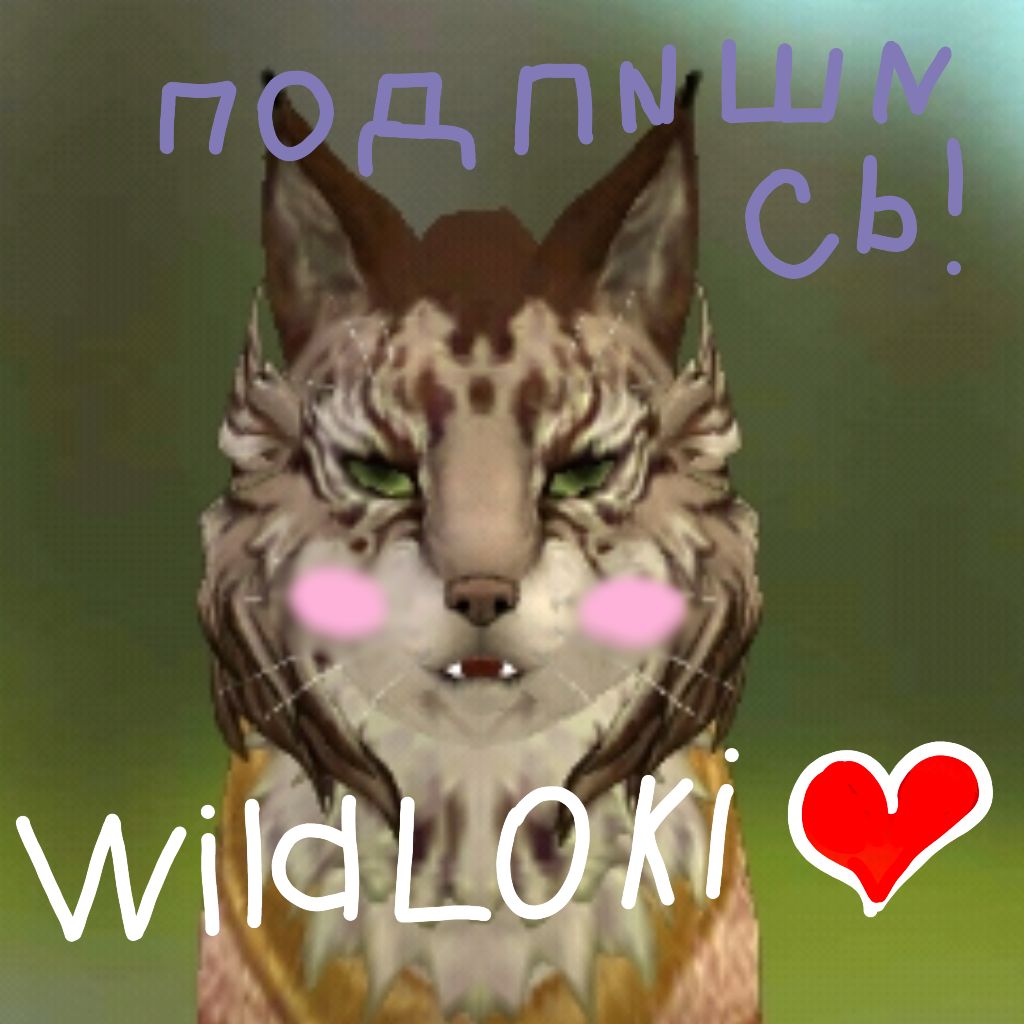 Иконка канала WildLoki