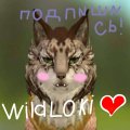 Иконка канала WildLoki