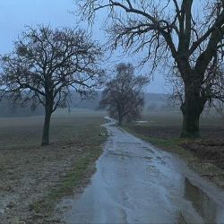 Иконка канала Games