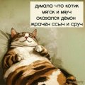 Иконка канала Мы Коты