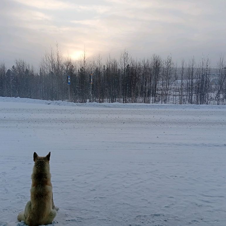 Иконка канала Музыка для сна