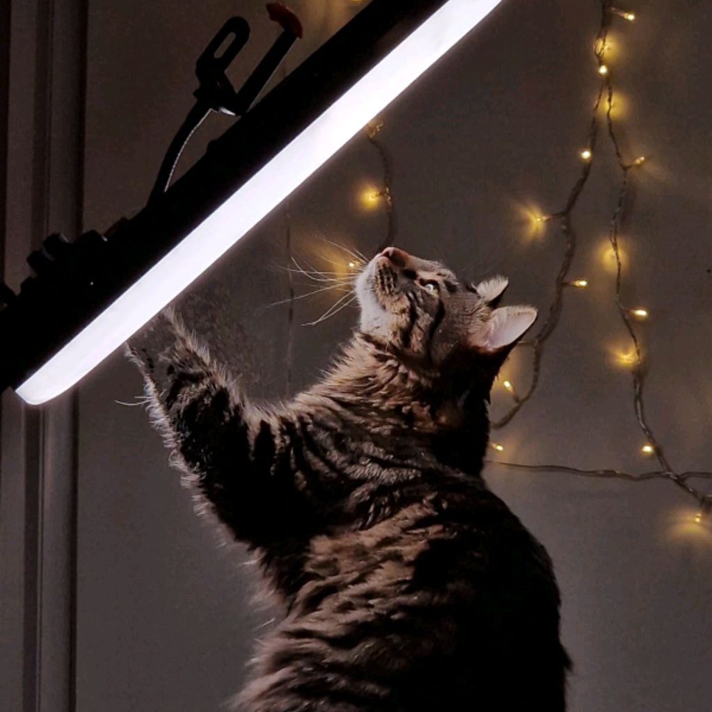 Иконка канала Кристина