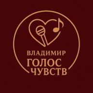 Иконка канала Владимир_голос_чувств
