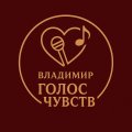 Иконка канала Владимир_голос_чувств