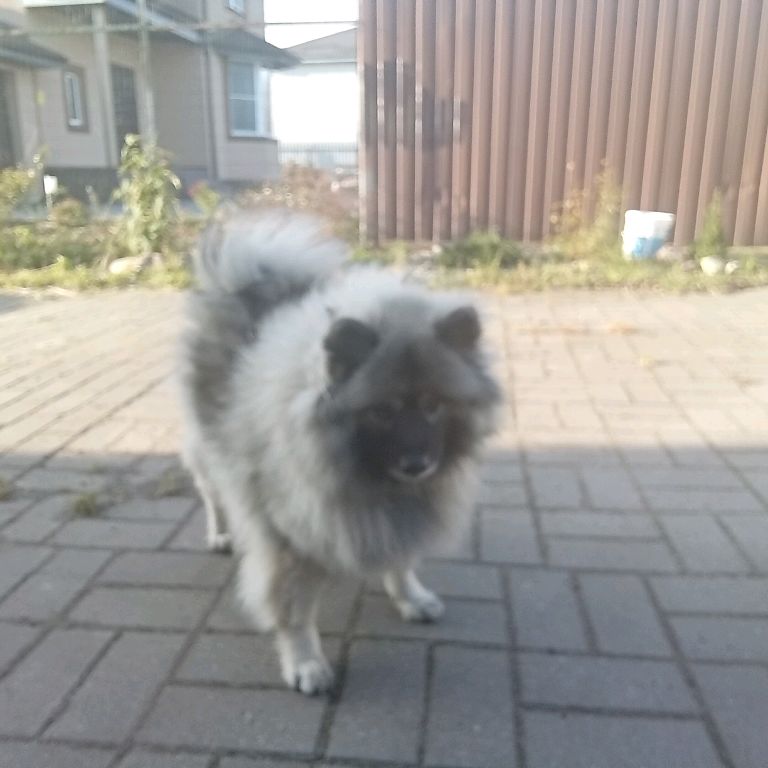 Иконка канала Роблокс И Не Только Агата И МОЯ Собака барабака