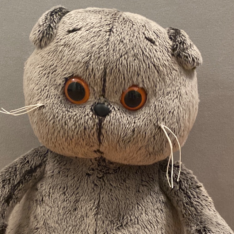 Иконка канала Басик и Рыбка