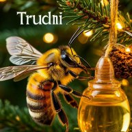 Иконка канала ТруДни