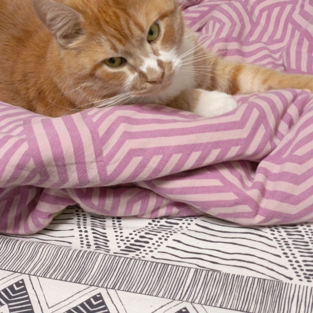 Иконка канала Медведь