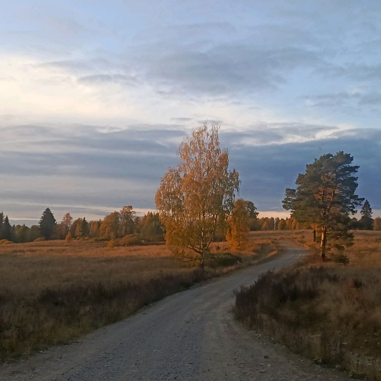 Иконка канала Александр Карелов