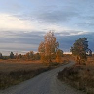 Иконка канала Александр Карелов