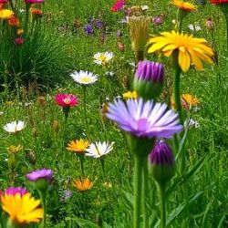 Иконка канала Оксана Олейникова