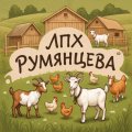 Иконка канала ЛПХ Румянцева