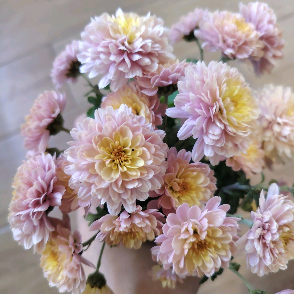 Иконка канала Ксения Заяц