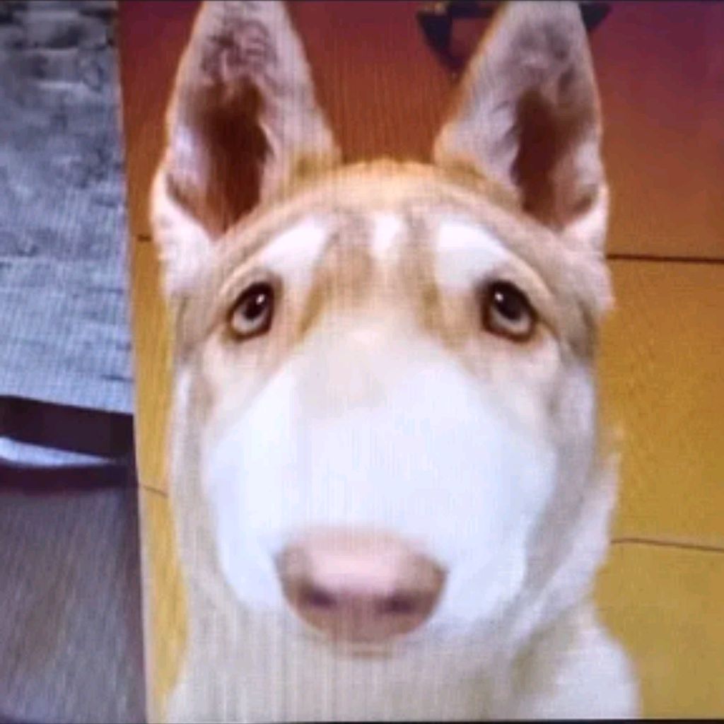 Иконка канала TiMOFEY964