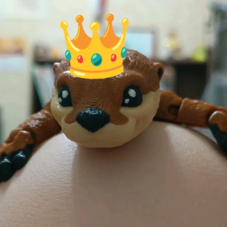 Иконка канала Выдра_стор🦦👑