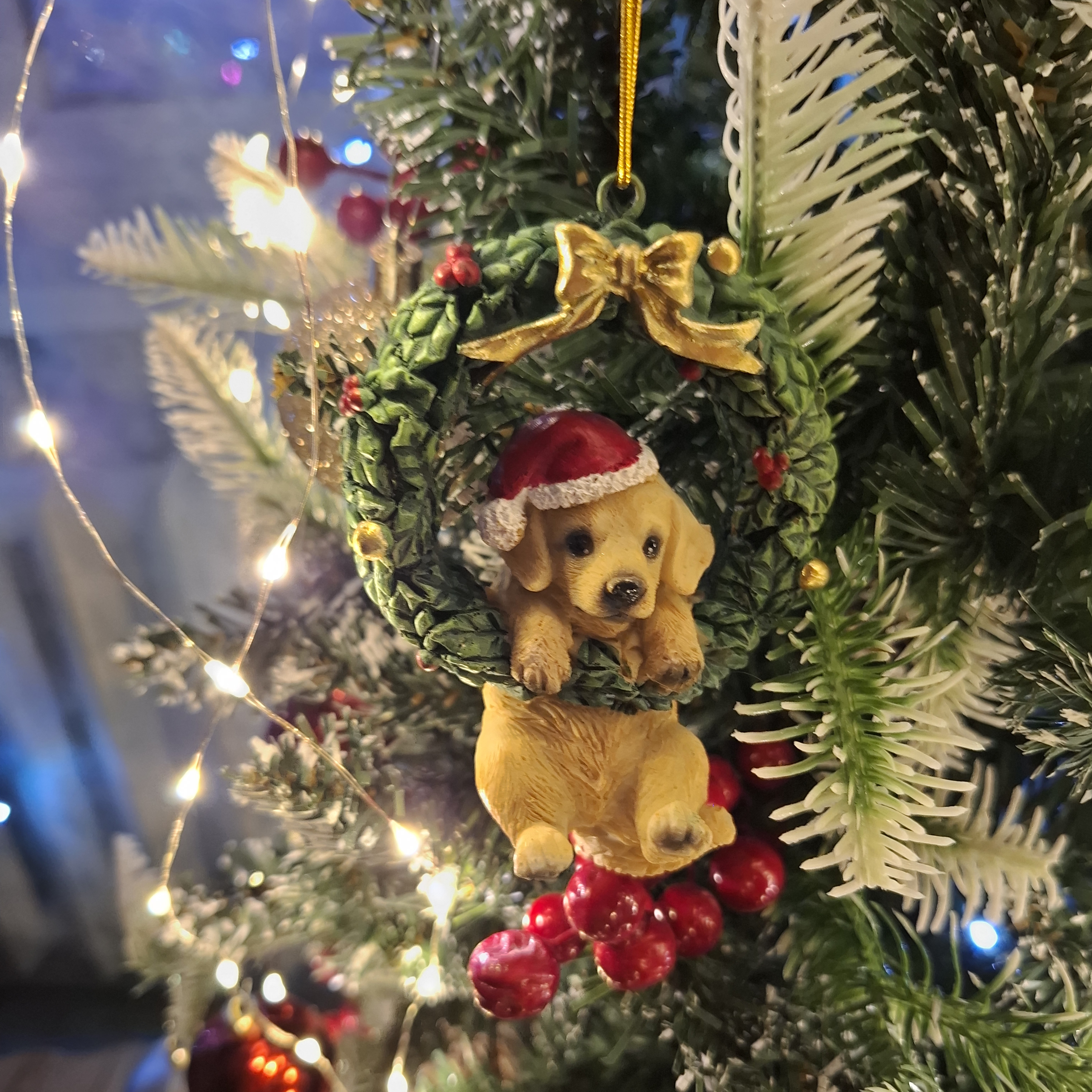 Иконка канала SEVERNAYA_DEVO4KA