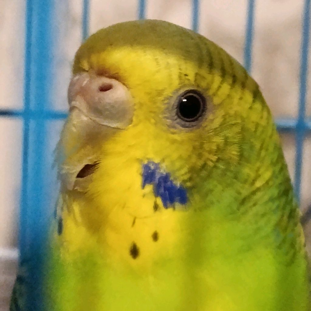 Иконка канала channel72755117