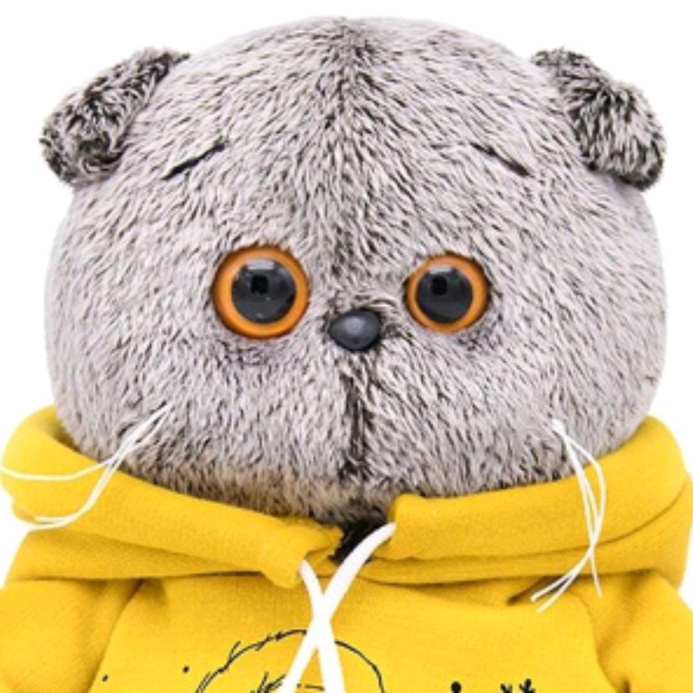 Иконка канала Басик Корабасик ✓