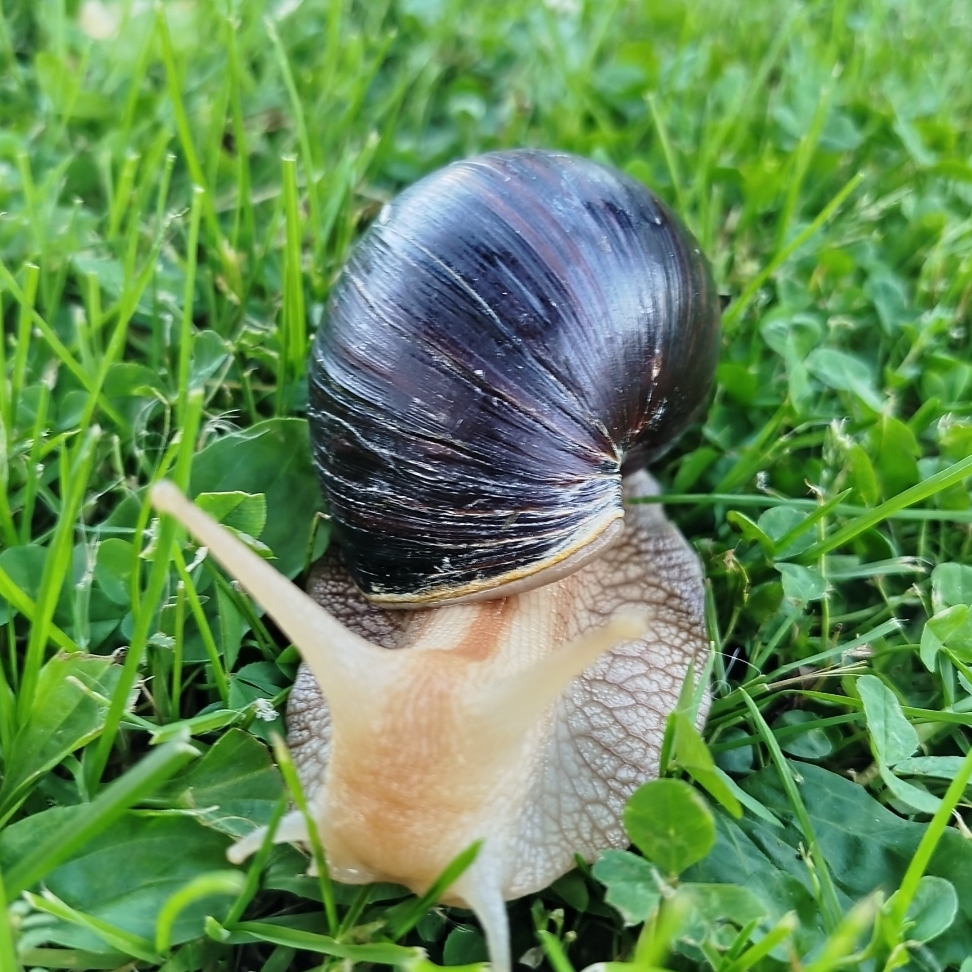 Иконка канала Тём4ик