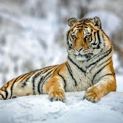 Иконка канала Обо всем понемногу.....