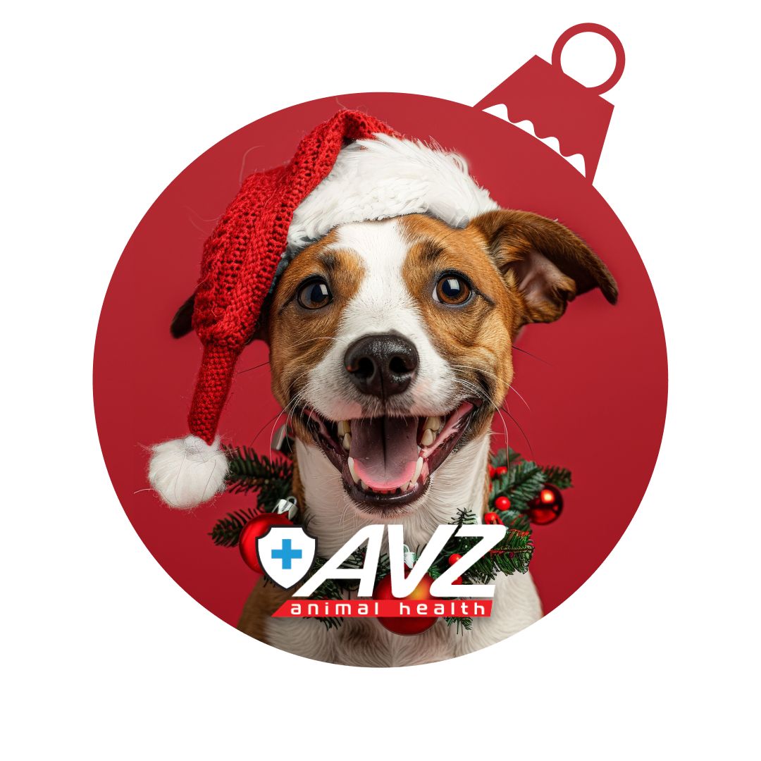 Иконка канала AVZ