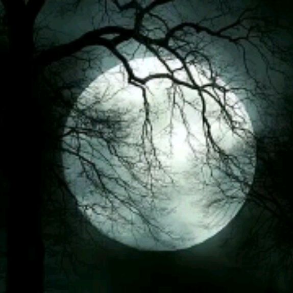 Иконка канала ПОЛНОЛУНИЕ666999